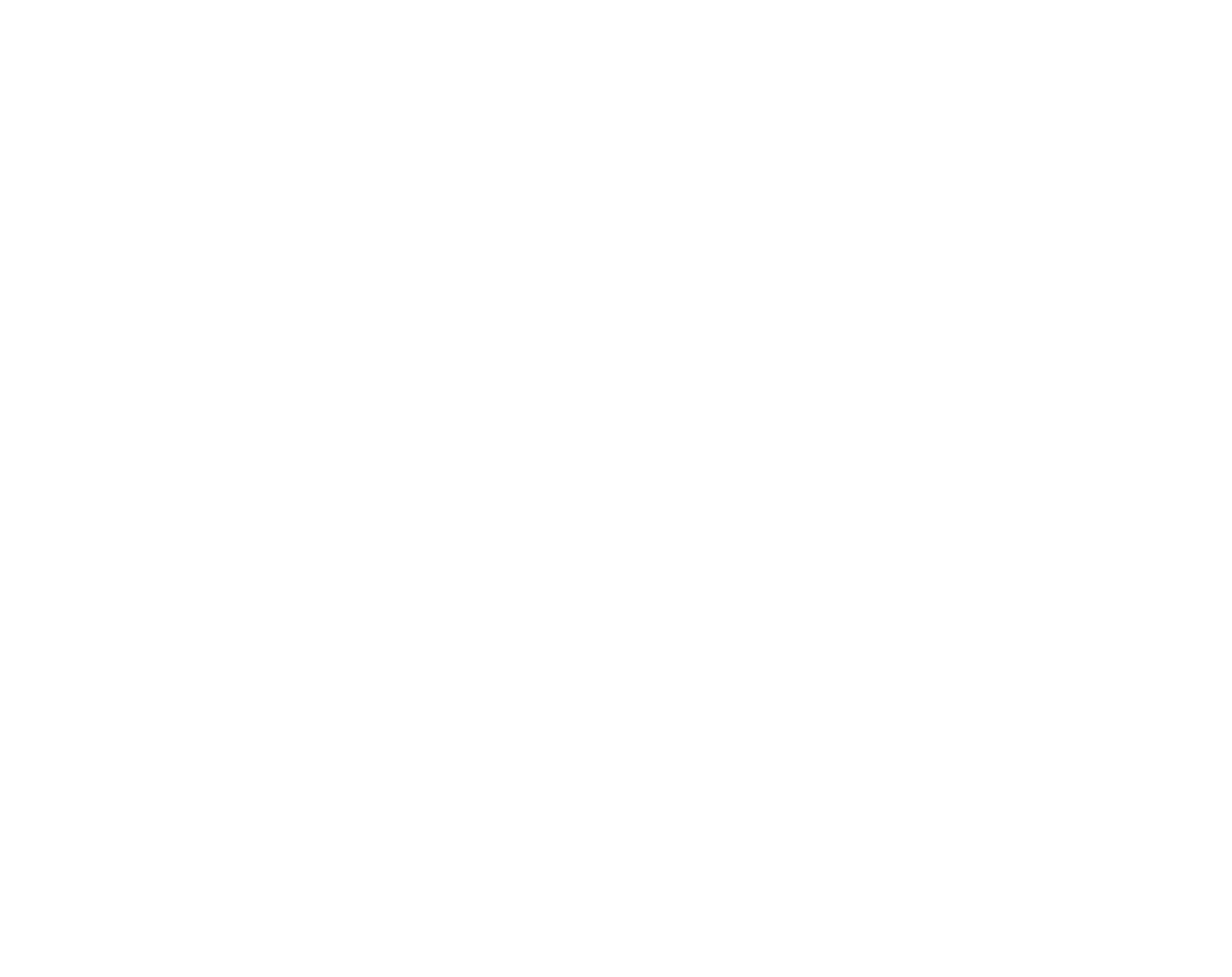 Katusepesijad logo valge
